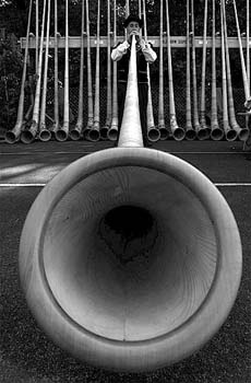 alphorn1