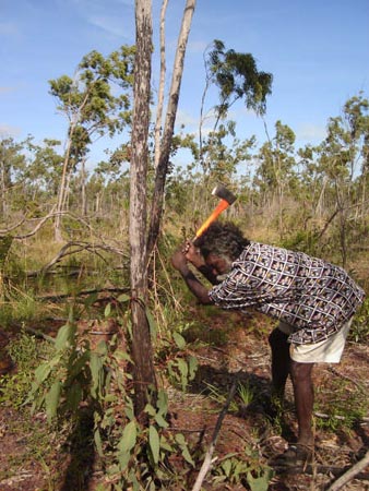 arnhemland021