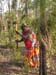 arnhemland012