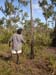 arnhemland020